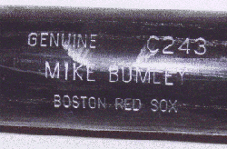 bumley-bat.jpg